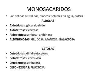 MONOSACARIDOS
• Son solidos cristalinos, blancos, solubles en agua, dulces
ALDOSAS
• Aldotriosas: gliceraldehido
• Aldotetrosas: eritrosa
• Aldopentosas: ribosa, arabinosa
• ALDOHEXOSAS: GLUCOSA, MANOSA, GALACTOSA
CETOSAS
• Cetotriosas: dihidroxiacetona
• Cetotetrosas: eritrulosa
• Cetopentosas: ribulosa
• CETOHEXOSAS: FRUCTOSA
 