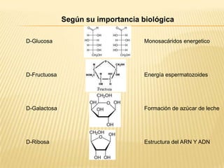 Según su importancia biológica
D-Glucosa

Monosacáridos energetico

D-Fructuosa

Energía espermatozoides

D-Galactosa

Formación de azúcar de leche

D-Ribosa

Estructura del ARN Y ADN

 
