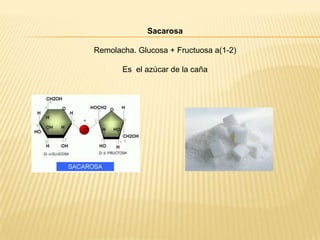 Sacarosa

Remolacha. Glucosa + Fructuosa a(1-2)
Es el azúcar de la caña

 