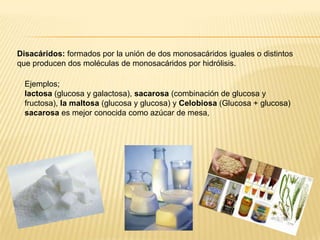 Disacáridos: formados por la unión de dos monosacáridos iguales o distintos
que producen dos moléculas de monosacáridos por hidrólisis.
Ejemplos;
lactosa (glucosa y galactosa), sacarosa (combinación de glucosa y
fructosa), la maltosa (glucosa y glucosa) y Celobiosa (Glucosa + glucosa)
sacarosa es mejor conocida como azúcar de mesa,

 