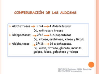 CONFIGURACIÓN DE LAS ALDOSAS



Aldotetrosas



Aldopentosas



Aldohexosas

22=4
4 Aldotetrosas
D,L eritrosa y treosa
23=8
8 Aldopentosas
D,L ribosa, arabinosa, xilosa y lixosa
24=16
16 aldohexosas.
D,L alosa, altrosa, glucosa, manosa,
gulosa, idosa, galactosa y talosa

MATHEWS, Christopher. (2006), Bioquímica,
ED. PEARSON, Tercera edición.

 