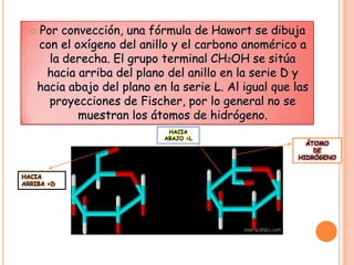 

Por convección, una fórmula de Hawort se dibuja
con el oxígeno del anillo y el carbono anomérico a
la derecha. El grupo terminal CH2OH se sitúa
hacia arriba del plano del anillo en la serie D y
hacia abajo del plano en la serie L. Al igual que las
proyecciones de Fischer, por lo general no se
muestran los átomos de hidrógeno.
HACIA
ABAJO =L

HACIA
ARRIBA =D

ÁTOMO
DE
HIDRÓGENO

 