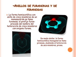 •ANILLOS DE FURANONAS Y DE
PIRANOSAS

 