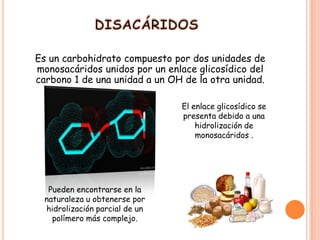Es un carbohidrato compuesto por dos unidades de
monosacáridos unidos por un enlace glicosídico del
carbono 1 de una unidad a un OH de la otra unidad.
El enlace glicosídico se
presenta debido a una
hidrolización de
monosacáridos .

Pueden encontrarse en la
naturaleza u obtenerse por
hidrolización parcial de un
polímero más complejo.

 