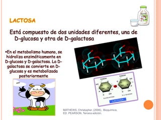 LACTOSA
Está compuesto de dos unidades diferentes, una de
D-glucosa y otra de D-galactosa
En el metabolismo humano, se
hidroliza enzimáticamente en
D-glucosa y D-galactosa. La Dgalactosa se convierte en Dglucosa y es metabolizada
posteriormente

MATHEWS, Christopher. (2006), Bioquímica,
ED. PEARSON, Tercera edición.

 