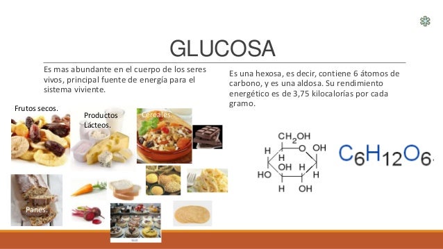 Que Frutas Contienen Glucosa Related Keywords - Que Frutas Que Frutas Contienen Glucosa Related Keywords - Que Frutas