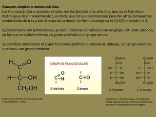 Carbohidratos | PPT