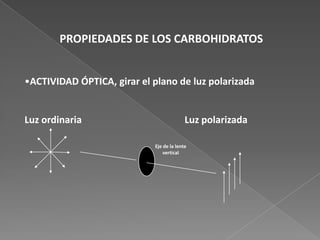 PROPIEDADES DE LOS CARBOHIDRATOS
•ACTIVIDAD ÓPTICA, girar el plano de luz polarizada

Luz ordinaria

Luz polarizada
Eje de la lente
vertical

 