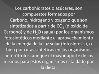 Los carbohidratos o azúcares, son
compuestos formados por
Carbono, hidrógeno y oxígeno que son
sintetizados a partir de CO2 (dióxido de
Carbono) y de H2O (agua) por los organismos
fotosintéticos mediante el aprovechamiento
de la energía de la luz solar (fotosíntesis), o
bien por rutas sintéticas en los organismos
heterótrofos, aunque el mayor aporte de los
mismos para estos organismos esta dado por
la dieta.

 