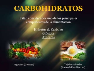 CARBOHIDRATOS
Están considerados uno de los principales
componentes de la alimentación
Hidratos de Carbono
Glúcidos
Azúcares

Vegetales (Glucosa)

Tejidos animales
(Aminoácidos Glucosa)

 