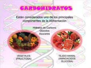 Están considerados uno de los principales
componentes de la Alimentación
Hidratos de Carbono
Glúcidos
Azucares

VEGETALES
(FRUCTOSA)

TEJIDO ANIMAL
(AMINOACIDOS
GLUCOSA)

 