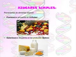 AZUCARES SIMPLES:
Provenientes de alimentos abarcan:
• Fructosa(se encuentra en lasfrutas)

• Galactosa(se encuentra en los productos lácteos)

 