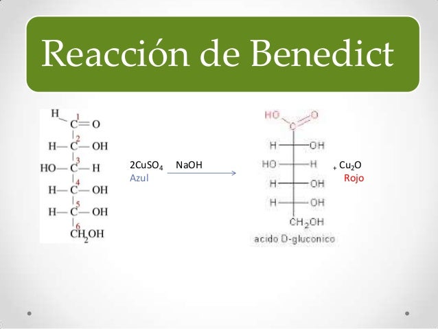 Carbohidratos