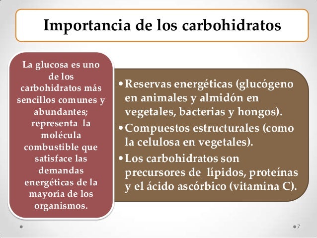Carbohidratos