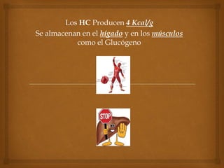 Los HC Producen 4 Kcal/g
Se almacenan en el hígado y en los músculos
como el Glucógeno

 