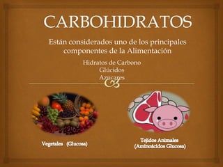 Están considerados uno de los principales
componentes de la Alimentación
Hidratos de Carbono
Glúcidos
Azucares

 