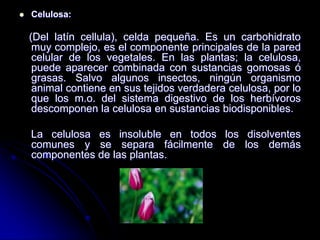 

Celulosa:

(Del latín cellula), celda pequeña. Es un carbohidrato
muy complejo, es el componente principales de la pared
celular de los vegetales. En las plantas; la celulosa,
puede aparecer combinada con sustancias gomosas ó
grasas. Salvo algunos insectos, ningún organismo
animal contiene en sus tejidos verdadera celulosa, por lo
que los m.o. del sistema digestivo de los herbívoros
descomponen la celulosa en sustancias biodisponibles.
La celulosa es insoluble en todos los disolventes
comunes y se separa fácilmente de los demás
componentes de las plantas.

 
