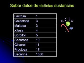 Sabor dulce de distintas sustancias
Lactosa
Galactosa
Maltosa
Xilosa
Sorbitol
Sacarosa
Glicerol
Fructosa
Sacarina

1
3
3
4
5
10
11
17
1500

 