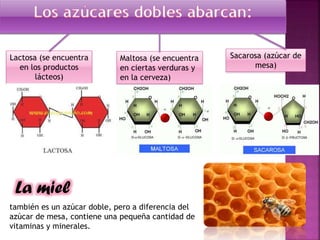 Lactosa (se encuentra
en los productos
lácteos)

Maltosa (se encuentra
en ciertas verduras y
en la cerveza)

La miel
también es un azúcar doble, pero a diferencia del
azúcar de mesa, contiene una pequeña cantidad de
vitaminas y minerales.

Sacarosa (azúcar de
mesa)

 