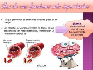  Es que previenen el exceso de nivel de grasa en el
cuerpo.
 Los hidratos de carbono simples en tanto, si son
consumidos con responsabilidad, representan un
importante aporte de

glucosa,
elemento vital
para el buen
funcionamiento
del cerebro

 