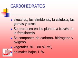 CARBOHIDRATOS
azucares, los almidones, la celulosa, las
gomas y otros.
Se producen en las plantas a través de
la fotosíntesis
Se componen de carbono, hidrogeno y
oxigeno.
vegetales 70 – 80 % MS,
animales bajos 1 %.
 