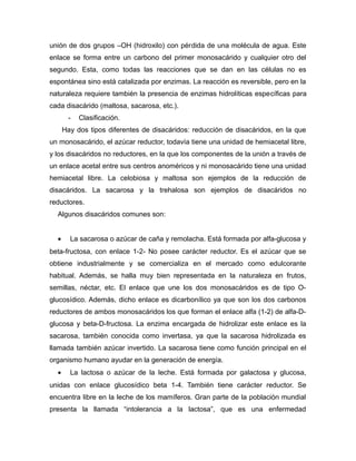unión de dos grupos –OH (hidroxilo) con pérdida de una molécula de agua. Este
enlace se forma entre un carbono del primer monosacárido y cualquier otro del
segundo. Esta, como todas las reacciones que se dan en las células no es
espontánea sino está catalizada por enzimas. La reacción es reversible, pero en la
naturaleza requiere también la presencia de enzimas hidrolíticas específicas para
cada disacárido (maltosa, sacarosa, etc.).
- Clasificación.
Hay dos tipos diferentes de disacáridos: reducción de disacáridos, en la que
un monosacárido, el azúcar reductor, todavía tiene una unidad de hemiacetal libre,
y los disacáridos no reductores, en la que los componentes de la unión a través de
un enlace acetal entre sus centros anoméricos y ni monosacárido tiene una unidad
hemiacetal libre. La celobiosa y maltosa son ejemplos de la reducción de
disacáridos. La sacarosa y la trehalosa son ejemplos de disacáridos no
reductores.
Algunos disacáridos comunes son:
• La sacarosa o azúcar de caña y remolacha. Está formada por alfa-glucosa y
beta-fructosa, con enlace 1-2- No posee carácter reductor. Es el azúcar que se
obtiene industrialmente y se comercializa en el mercado como edulcorante
habitual. Además, se halla muy bien representada en la naturaleza en frutos,
semillas, néctar, etc. El enlace que une los dos monosacáridos es de tipo O-
glucosídico. Además, dicho enlace es dicarbonílico ya que son los dos carbonos
reductores de ambos monosacáridos los que forman el enlace alfa (1-2) de alfa-D-
glucosa y beta-D-fructosa. La enzima encargada de hidrolizar este enlace es la
sacarosa, también conocida como invertasa, ya que la sacarosa hidrolizada es
llamada también azúcar invertido. La sacarosa tiene como función principal en el
organismo humano ayudar en la generación de energía.
• La lactosa o azúcar de la leche. Está formada por galactosa y glucosa,
unidas con enlace glucosídico beta 1-4. También tiene carácter reductor. Se
encuentra libre en la leche de los mamíferos. Gran parte de la población mundial
presenta la llamada “intolerancia a la lactosa”, que es una enfermedad
 