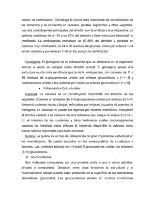 puntos de ramificación. Constituye la fuente más importante de carbohidratos de
los alimentos y se encuentra en cereales, patatas, legumbres y otros vegetales.
Los dos constituyentes principales del almidón son la amilosa y la amilopectina. La
amilosa constituye de un 15 a un 20% del almidón y tiene estructura helicoidal no
ramificada. La amilopectina constituye un 80-85% del almidón y consiste en
cadenas muy ramificadas, de 24 o 30 residuos de glucosa unidos por enlaces 1->4
en las cadenas y por enlaces 1->6 en los puntos de ramificación.
Glucógeno: El glucógeno es el polisacárido que se almacena en el organismo
animal, a veces se designa como almidón animal. El glucógeno posee una
estructura mucho más ramificada que la de la amilopectina, con cadenas de 11 a
18 residuos de α-glucopiranosa unidos por enlaces glucosídicos α [1-> 4] y
ramificaciones unidas a las cadenas por medio de enlaces glucosídicos α [1-> 6].
• Polisacáridos Estructurales:
Celulosa: La celulosa es un constituyente importante del armazón de los
vegetales. Consiste en unidades de β-D-glucopiranosa unidas por enlaces β [1->4]
formando cadenas rectas y largas, reforzadas por enlaces cruzados de puentes de
hidrógeno. La celulosa no puede ser digerida por muchos mamíferos, incluyendo
el hombre (debido a la carencia de una hidrolasa que ataque el enlace β [1->4]).
En el intestino de los rumiantes y otros herbívoros existen microorganismos
capaces de hidrolizar estos enlaces β, haciendo disponible la celulosa como
fuente calórica importante para tales animales.
Quitina: La quitina es un tipo de polisacárido de gran importancia estructural en
los invertebrados. Se puede encontrar en los exoesqueletos de crustáceos e
insectos. Las unidades básicas son N-acetil-D-glucosaminas unidas por enlacesβ
[1->4] glucosídicos.
8. Glucoproteínas.
Son moléculas compuestas por una proteína unida a uno o varios glúcidos,
simples o compuestos. Destacan entre otras funciones la estructural y el
reconocimiento celular cuando están presentes en la superficie de las membranas
plasmáticas (glucocálix). Las glucoproteínas existen en muchas condiciones
 