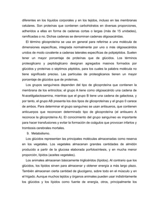 diferentes en los líquidos corporales y en los tejidos, incluso en las membranas
celulares. Son proteínas que contienen carbohidratos en diversas proporciones,
adheridos a ellas en forma de cadenas cortas o largas (más de 15 unidades),
ramificadas o no. Dichas cadenas se denominan cadenas oligosacáridas.
El término glicoproteína se usa en general para referirse a una molécula de
dimensiones específicas, integrada normalmente por uno o más oligosacáridos
unidos de modo covalente a cadenas laterales específicas de polipéptidos. Suelen
tener un mayor porcentaje de proteínas que de glúcidos. Los términos
proteoglicano y peptidoglicano designan agregados masivos formados por
glúcidos y proteínas o séptimos péptidos, para los cuales la palabra molécula no
tiene significado preciso. Las partículas de proteoglicanos tienen un mayor
porcentaje de glúcidos que de proteínas.
Los grupos sanguíneos dependen del tipo de glicoproteína que contienen la
membrana de los eritrocitos; el grupo A tiene como oligosacárido una cadena de
N-acetilgalactosamina, mientras que el grupo B tiene una cadena de galactosa, y
por tanto, el grupo AB presenta los dos tipos de glicoproteínas y el grupo 0 carece
de ambos. Para determinar el grupo sanguíneo se usan antisueros, que contienen
anticuerpos que reconocen determinado tipo de glicoproteína (el antisuero A
reconoce la glicoproteína A). El conocimiento del grupo sanguíneo es importante
para hacer transfusiones y evitar la formación de coágulos que provocan infartos y
trombosis cerebrales mortales.
9. Metabolismo.
Los glúcidos representan las principales moléculas almacenadas como reserva
en los vegetales. Los vegetales almacenan grandes cantidades de almidón
producido a partir de la glucosa elaborada porfotosíntesis, y en mucha menor
proporción, lípidos (aceites vegetales).
Los animales almacenan básicamente triglicéridos (lípidos). Al contrario que los
glúcidos, los lípidos sirven para almacenar y obtener energía a más largo plazo.
También almacenan cierta cantidad de glucógeno, sobre todo en el músculo y en
el hígado. Aunque muchos tejidos y órganos animales pueden usar indistintamente
los glúcidos y los lípidos como fuente de energía, otros, principalmente los
 