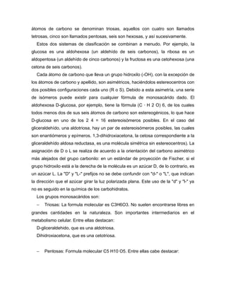 átomos de carbono se denominan triosas, aquellos con cuatro son llamados
tetrosas, cinco son llamados pentosas, seis son hexosas, y así sucesivamente.
Estos dos sistemas de clasificación se combinan a menudo. Por ejemplo, la
glucosa es una aldohexosa (un aldehído de seis carbonos), la ribosa es un
aldopentosa (un aldehído de cinco carbonos) y la fructosa es una cetohexosa (una
cetona de seis carbonos).
Cada átomo de carbono que lleva un grupo hidroxilo (-OH), con la excepción de
los átomos de carbono y apellido, son asimétricos, haciéndolos estereocentros con
dos posibles configuraciones cada uno (R o S). Debido a esta asimetría, una serie
de isómeros puede existir para cualquier fórmula de monosacárido dado. El
aldohexosa D-glucosa, por ejemplo, tiene la fórmula (C · H 2 O) 6, de los cuales
todos menos dos de sus seis átomos de carbono son estereogénicos, lo que hace
D-glucosa en uno de los 2 4 = 16 estereoisómeros posibles. En el caso del
gliceraldehído, una aldotriosa, hay un par de estereoisómeros posibles, las cuales
son enantiómeros y epímeros. 1,3-dihidroxiacetona, la cetosa correspondiente a la
gliceraldehído aldosa reductasa, es una molécula simétrica sin estereocentros). La
asignación de D o L se realiza de acuerdo a la orientación del carbono asimétrico
más alejados del grupo carbonilo: en un estándar de proyección de Fischer, si el
grupo hidroxilo está a la derecha de la molécula es un azúcar D, de lo contrario, es
un azúcar L. La "D" y "L-" prefijos no se debe confundir con "d-" o "L", que indican
la dirección que el azúcar girar la luz polarizada plana. Este uso de la "d" y "l-" ya
no es seguido en la química de los carbohidratos.
Los grupos monosacáridos son:
− Triosas: La formula molecular es C3H6O3. No suelen encontrarse libres en
grandes cantidades en la naturaleza. Son importantes intermediarios en el
metabolismo celular. Entre ellas destacan:
D-gliceraldehido, que es una aldotriosa.
Dihidroxiacetona, que es una cetotriosa.
− Pentosas: Formula molecular C5 H10 O5. Entre ellas cabe destacar:
 