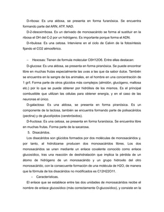 D-ribosa: Es una aldosa, se presenta en forma furanósica. Se encuentra
formando parte del ARN, ATP, NAD.
D-2-desoxirribosa. Es un derivado de monosacárido se forma al sustituir en la
ribosa el OH del C-2 por un hidrógeno. Es importante porque forma el ADN.
D-ribulosa: Es una cetosa. Interviene en el ciclo de Calvin de la fotosíntesis
fijando el CO2 atmosférico.
− Hexosas: Tienen de formula molecular C6H12O6. Entre ellas destacan:
D-glucosa: Es una aldosa, se presenta en forma piranósica. Se puede encontrar
libre en muchas frutas especialmente las uvas a las que da sabor dulce. También
se encuentra en la sangre de los animales, en el hombre en una concentración de
1 gr/l. Forma parte de otros glúcidos más complejos (almidón, glucógeno, maltosa
etc.) por lo que se puede obtener por hidrólisis de los mismos. Es el principal
combustible que utilizan las células para obtener energía, y en el caso de las
neuronas el único.
D-galactosa: Es una aldosa, se presenta en forma piranósica. Es un
componente de la lactosa, también se encuentra formando parte de polisacáridos
(pectina) y de glucolípidos (cerebrósidos).
D-fructosa: Es una cetosa, se presenta en forma furanósica. Se encuentra libre
en muchas frutas. Forma parte de la sacarosa.
5. Disacáridos.
Los disacáridos son glúcidos formados por dos moléculas de monosacáridos y,
por tanto, al hidrolizarse producen dos monosacáridos libres. Los dos
monosacáridos se unen mediante un enlace covalente conocido como enlace
glucosídico, tras una reacción de deshidratación que implica la pérdida de un
átomo de hidrógeno de un monosacárido y un grupo hidroxilo del otro
monosacárido, con la consecuente formación de una molécula de H2O, de manera
que la fórmula de los disacáridos no modificados es C12H22O11.
- Características.
El enlace que se establece entre las dos unidades de monosacáridos recibe el
nombre de enlace glucosídico (más correctamente O-glucosídico), y consiste en la
 