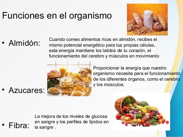 alimentos sin azucares carbohidratos alimentos sin azucares carbohidratos