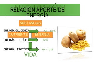 NUTRICIÓN
NUTRIENTE ENERGIA
SUSTANCIAS
VIDA
RELACIÓN APORTE DE
ENERGÍA
ENERGÍA GLUCÍDICA
ENERGÍA LIPÍDICA
ENERGÍA PROTEICA
50 - 60 %
30 %
10 - 15 %
 