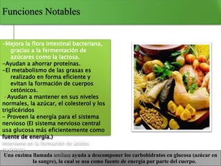 Funciones Notables
Una enzima llamada amilasa ayuda a descomponer los carbohidratos en glucosa (azúcar en
la sangre), la cual se usa como fuente de energía por parte del cuerpo.
-Mejora la flora intestinal bacteriana,
gracias a la fermentación de
azúcares como la lactosa.
-Ayudan a ahorrar proteínas.
-El metabolismo de las grasas es
realizado en forma eficiente y
evitan la formación de cuerpos
cetónicos.
-Ayudan a mantener en sus niveles
normales, la azúcar, el colesterol y los
triglicéridos
- Proveen la energía para el sistema
nervioso (EI sistema nervioso central
usa glucosa más eficientemente como
fuente de energía.)
Interviene en la formación de ácidos
nucleicos
 