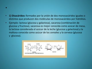 •
• 1) Disacáridos: formados por la unión de dos monosacáridos iguales o
distintos que producen dos moléculas de monosacáridos por hidrólisis.
• Ejemplo: lactosa (glucosa y galactosa), sacarosa (combinación de
glucosa y fructosa), sacarosa es mejor conocida como azúcar de mesa,
la lactosa considerada el azúcar de la leche (glucosa y galactosa) y la
maltosa conocida como azúcar de los cereales y la cerveza (glucosa
y glucosa).
 
