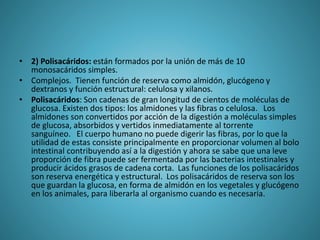 • 2) Polisacáridos: están formados por la unión de más de 10
monosacáridos simples.
• Complejos. Tienen función de reserva como almidón, glucógeno y
dextranos y función estructural: celulosa y xilanos.
• Polisacáridos: Son cadenas de gran longitud de cientos de moléculas de
glucosa. Existen dos tipos: los almidones y las fibras o celulosa. Los
almidones son convertidos por acción de la digestión a moléculas simples
de glucosa, absorbidos y vertidos inmediatamente al torrente
sanguíneo. El cuerpo humano no puede digerir las fibras, por lo que la
utilidad de estas consiste principalmente en proporcionar volumen al bolo
intestinal contribuyendo así a la digestión y ahora se sabe que una leve
proporción de fibra puede ser fermentada por las bacterias intestinales y
producir ácidos grasos de cadena corta. Las funciones de los polisacáridos
son reserva energética y estructural. Los polisacáridos de reserva son los
que guardan la glucosa, en forma de almidón en los vegetales y glucógeno
en los animales, para liberarla al organismo cuando es necesaria.
 