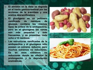 o El almidón en la dieta se degrada
en el tracto gastrointestinal por las
acciones de la a-amilasa y una
enzima desramificadora.
o El glucógeno es un polímero
ramificado de residuos de
glucosa, contiene los mismos
tipos de enlace de la amilopectina,
pero en el glucógeno las ramas
son más pequeñas y más
frecuentes, y se presentan cada
ocho a 12 residuos.
o Las estructuras ramificadas de la
amilopectina y el glucógeno sólo
poseen un extremo reductor, pero
muchos extremos no reductores.
Es en esos extremos no
reductores donde se efectúa la
prolongación y la degradación
enzimáticas.
 