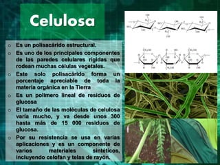 Celulosa
o Es un polisacárido estructural.
o Es uno de los principales componentes
de las paredes celulares rígidas que
rodean muchas células vegetales.
o Este solo polisacárido forma un
porcentaje apreciable de toda la
materia orgánica en la Tierra
o Es un polímero lineal de residuos de
glucosa
o El tamaño de las moléculas de celulosa
varía mucho, y va desde unos 300
hasta más de 15 000 residuos de
glucosa.
o Por su resistencia se usa en varias
aplicaciones y es un componente de
varios materiales sintéticos,
incluyendo celofán y telas de rayón.
 
