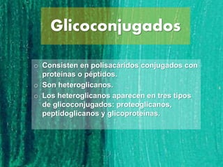Glicoconjugados
o Consisten en polisacáridos conjugados con
proteínas o péptidos.
o Son heteroglicanos.
o Los heteroglicanos aparecen en tres tipos
de glicoconjugados: proteoglicanos,
peptidoglicanos y glicoproteínas.
 