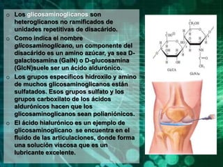 o Los glicosaminoglicanos son
heteroglicanos no ramificados de
unidades repetitivas de disacárido.
o Como indica el nombre
glicosaminoglicano, un componente del
disacárido es un amino azúcar, ya sea D-
galactosamina (GalN) o D-glucosamina
(GlcN)suele ser un ácido aldurónico.
o Los grupos específicos hidroxilo y amino
de muchos glicosaminoglicanos están
sulfatados. Esos grupos sulfato y los
grupos carboxilato de los ácidos
aldurónicos hacen que los
glicosaminoglicanos sean polianiónicos.
o El ácido hialurónico es un ejemplo de
glicosaminoglicano se encuentra en el
fluido de las articulaciones, donde forma
una solución viscosa que es un
lubricante excelente.
 