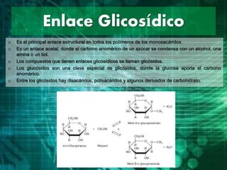 Enlace Glicosídico
o Es el principal enlace estructural en todos los polímeros de los monosacáridos.
o Es un enlace acetal, donde el carbono anomérico de un azúcar se condensa con un alcohol, una
amina o un tiol.
o Los compuestos que tienen enlaces glicosídicos se llaman glicósidos.
o Los glucósidos son una clase especial de glicósidos, donde la glucosa aporta el carbono
anomérico.
o Entre los glicósidos hay disacáridos, polisacáridos y algunos derivados de carbohidrato.
 
