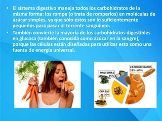 • El sistema digestivo maneja todos los carbohidratos de la
misma forma: los rompe (o trata de romperlos) en moléculas de
azúcar simples, ya que sólo éstos son lo suficientemente
pequeños para pasar al torrente sanguíneo.
• También convierte la mayoría de los carbohidratos digestibles
en glucosa (también conocida como azúcar en la sangre),
porque las células están diseñadas para utilizar esto como una
fuente de energía universal.
 
