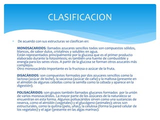 De acuerdo con sus estructuras se clasifican en:
MONOSACARIDOS: llamados azucares sencillos todos son compuestos sólidos,
blancos, de sabor dulce, cristalinos y solubles en agua.
Están representados principalmente por la glucosa que es el primer producto
elaborado durante la fotosíntesis; es también una fuente de combustible y
energía para los seres vivos. A partir de la glucosa se forman otros azucares más
complejos.
Otro monosacárido importante es la fructosa o azúcar de la fruta.
DISACÁRIDOS: son compuestos formados por dos azucares sencillos como la
lactosa (azúcar de leche), la sacarosa (azúcar de caña) y la maltosa (presente en
el almidón de algunas cebollas como la semilla como la cebada y aparece en la
digestión).
POLISACÁRIDOS: son grupos también llamados glucanos formados por la unión
de varios monosacáridos. La mayor parte de los azúcares de la naturaleza se
encuentran en esta forma. Algunos polisacáridos sirven como una sustancias de
reserva, como el almidón (vegetales) y el glucógeno (animales); otros son
estructurales, como la quitina (pelo, uñas), la celulosa (forma la pared celular de
los vegetales) y el agar (presente en las algas marinas).
CLASIFICACION
 
