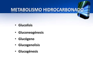 METABOLISMO HIDROCARBONADO
• Glucolisis
• Gluconeogénesis
• Glucógeno
• Glucogenolisis
• Glucogénesis
 