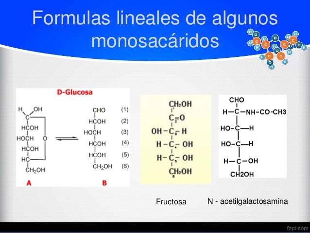 Carbohidratos