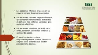 • Los escalones inferiores proponen en su
mayoría hidratos de carbono complejos.
• Los escalones centrales sugieren alimentos
que contienen menor cantidad de hidratos
de carbono, más proteínas y grasas y gran
contenido vitamínico.
• Los escalones superiores, de abajo hacia
arriba, contienen cantidad de proteínas y
cantidad de grasas.
• El escalón más alto contiene
mayormente grasas e hidratos de carbono
simples, todos alimentos que aportan
principalmente calorías.
 