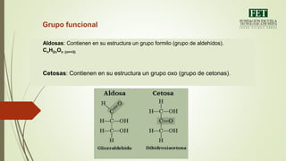 Grupo funcional
Aldosas: Contienen en su estructura un grupo formilo (grupo de aldehídos).
CnH2nOn (n>=3)
Cetosas: Contienen en su estructura un grupo oxo (grupo de cetonas).
 