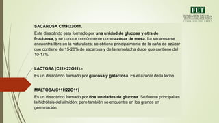 SACAROSA C11H22O11.
Este disacárido esta formado por una unidad de glucosa y otra de
fructuosa, y se conoce comúnmente como azúcar de mesa. La sacarosa se
encuentra libre en la naturaleza; se obtiene principalmente de la caña de azúcar
que contiene de 15-20% de sacarosa y de la remolacha dulce que contiene del
10-17%.
LACTOSA (C11H22O11).-
Es un disacárido formado por glucosa y galactosa. Es el azúcar de la leche.
MALTOSA(C11H22O11)
Es un disacárido formado por dos unidades de glucosa. Su fuente principal es
la hidrólisis del almidón, pero también se encuentra en los granos en
germinación.
 