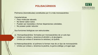 POLISACÁRIDOS
Polímeros (biomoléculas) constituidos por 3 o más monosacáridos
Características
• Peso molecular elevado.
• No tienen sabor dulce.
• Pueden ser insolubles o formar dispersiones coloidales.
• No poseen poder reductor
Sus funciones biológicas son estructurales
a) Homopolisacáridos: formados por monosacáridos de un solo tipo
• Unidos por enlace a tenemos el almidón y el glucógeno.
• Unidos por enlace ß tenemos la celulosa y la quitina.
b) Heteropolisacárido: el polímero lo forman mas de un tipo de monosacárido
• Unidos por enlace a tenemos la pectina, la goma arábiga y el agar-agar.
 