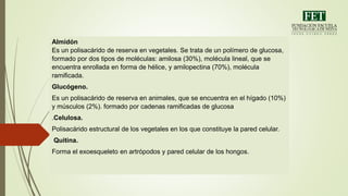 Almidón
Es un polisacárido de reserva en vegetales. Se trata de un polímero de glucosa,
formado por dos tipos de moléculas: amilosa (30%), molécula lineal, que se
encuentra enrollada en forma de hélice, y amilopectina (70%), molécula
ramificada.
Glucógeno.
Es un polisacárido de reserva en animales, que se encuentra en el hígado (10%)
y músculos (2%). formado por cadenas ramificadas de glucosa
.Celulosa.
Polisacárido estructural de los vegetales en los que constituye la pared celular.
Quitina.
Forma el exoesqueleto en artrópodos y pared celular de los hongos.
 