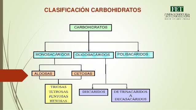 Carbohidratos Concepto Estructura Quimica Clasificacion Y